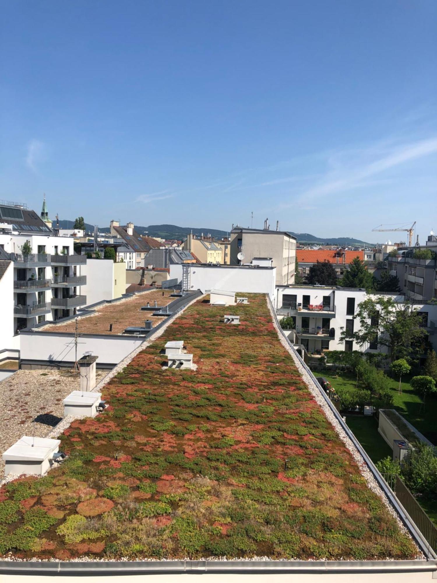 Vienna Sunny Side Up Apartments Экстерьер фото